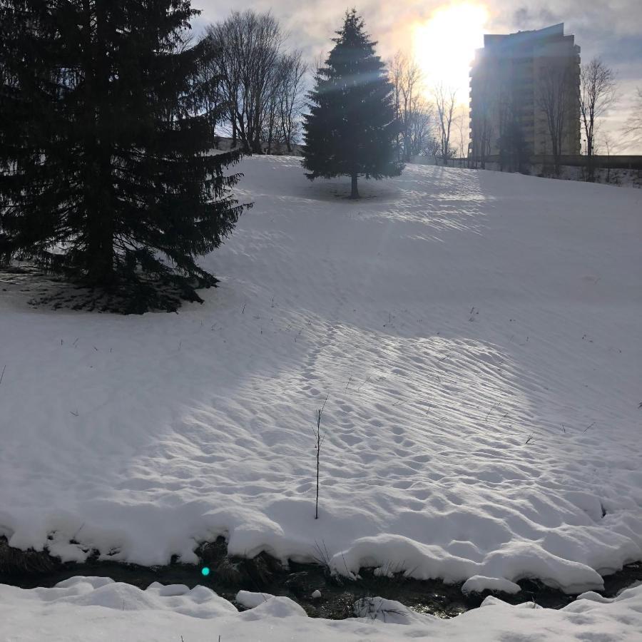 Apartamento Pano Hohegeiss App 363 Mit Wlan Braunlage Exterior foto